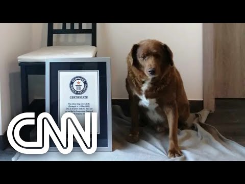  30-year-old dog is considered the oldest dog of all time, according to the Guinness Book of Records
