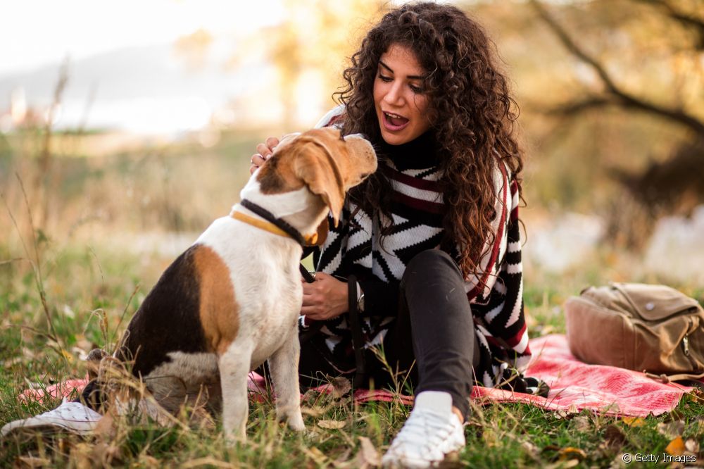  Do dogs understand what we say? Find out how dogs perceive human communication!