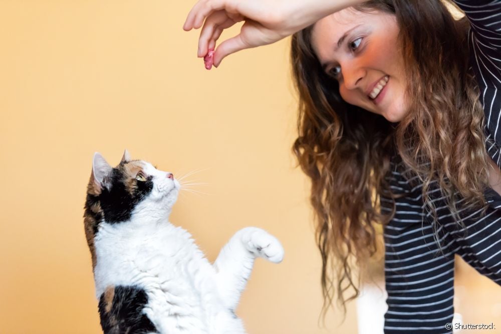  Do cats answer to their names? Research unravels the mystery!