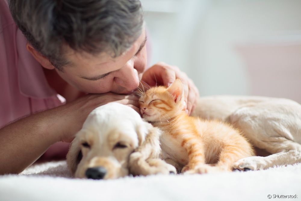  Lemmikkieläinten vanhemmat: 5 syytä adoptoida pentu tai kissanpentu