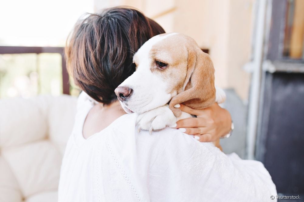  "Dua të dhuroj qenin tim": si ta bëj atë në mënyrë të sigurt dhe me një minimum të traumës për kafshën?