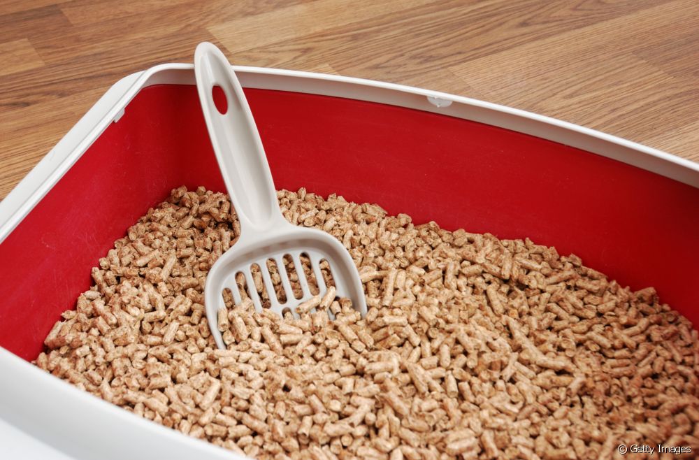  Litter box: how does wood pellets work for cats?