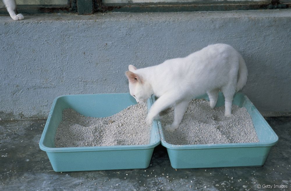 Πώς λειτουργεί η πυριτική άμμος για γάτες;