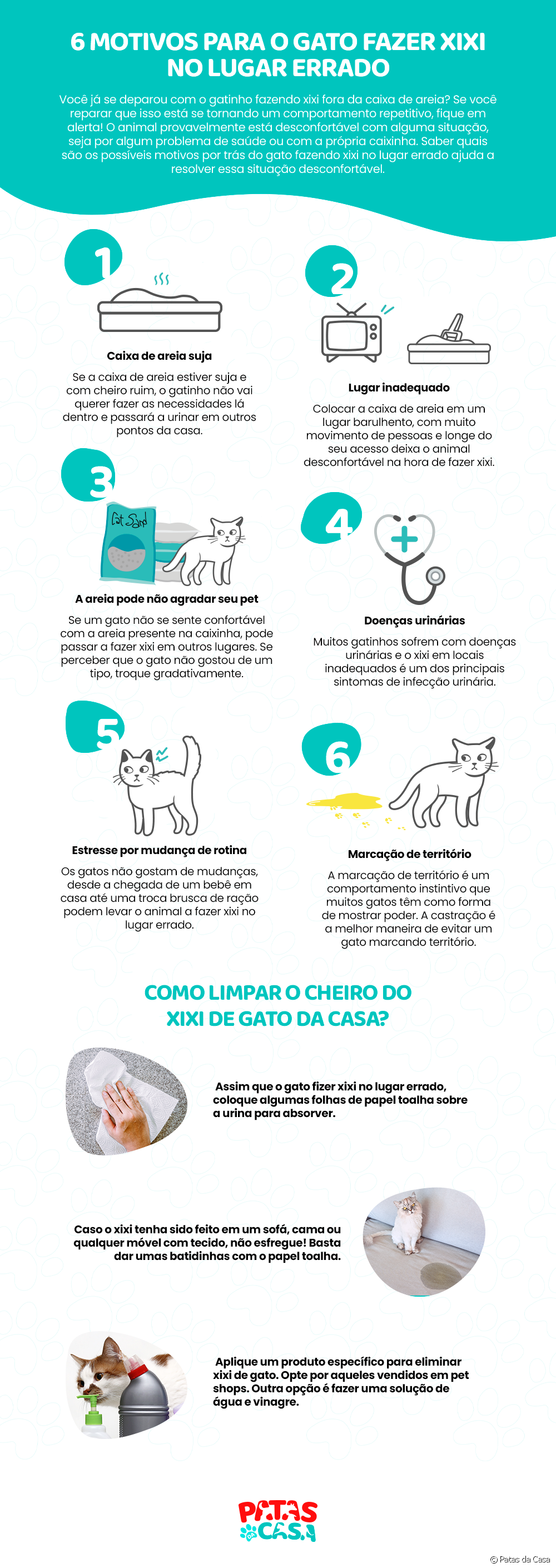  6 dôvodov, prečo vaša mačka močí na nesprávnom mieste: pozrite si infografiku a zistite to!
