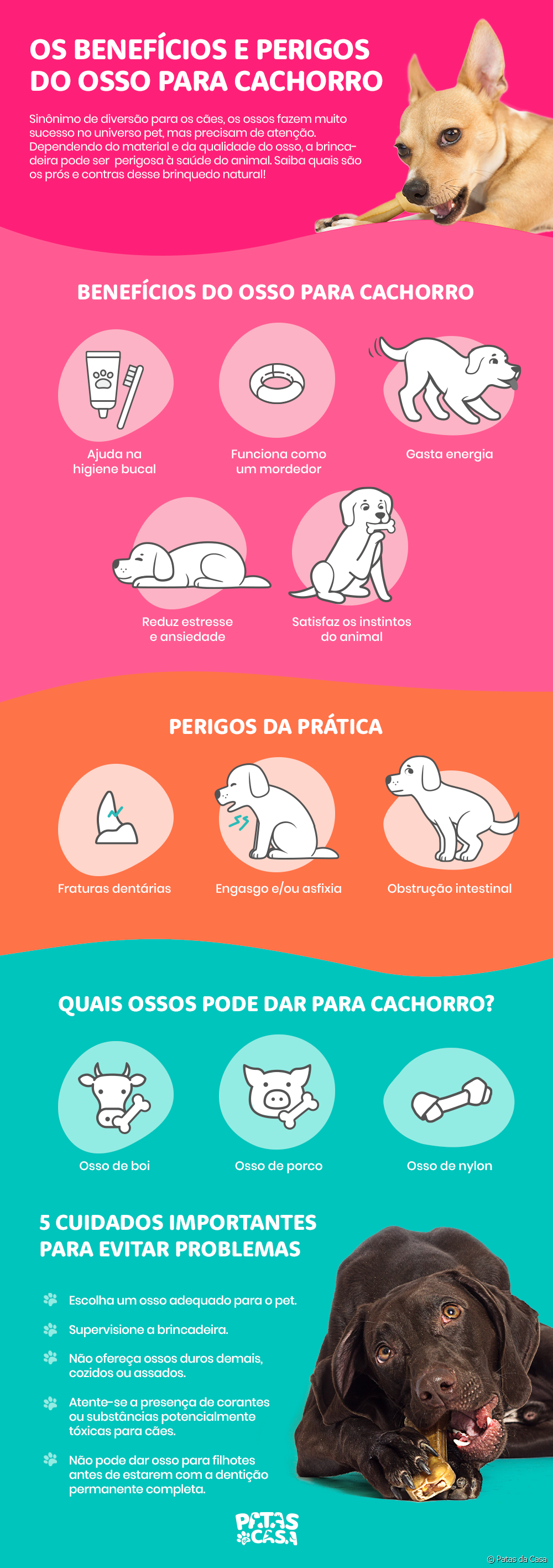  Can you give a dog a bone? infographic shows the pros and cons