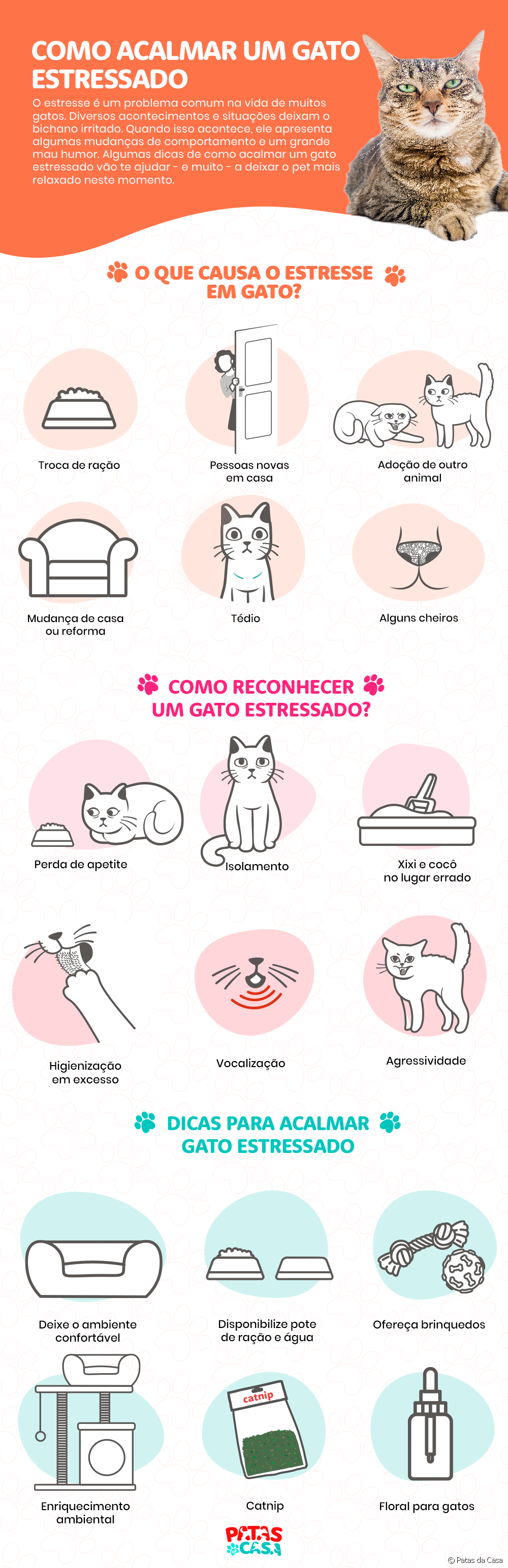  Stresset katt: se hvordan du kan roe katten i infografikk