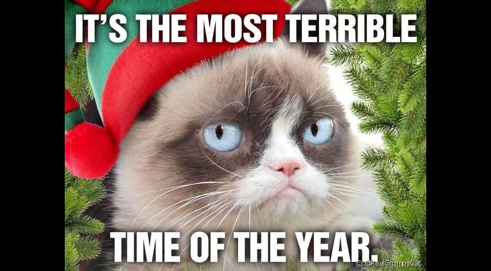  10 kat memes wat virale op sosiale media gegaan het