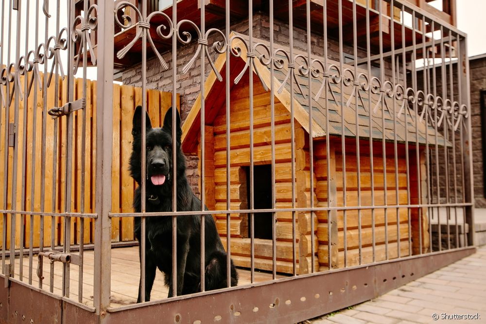  How to build a proper dog kennel?