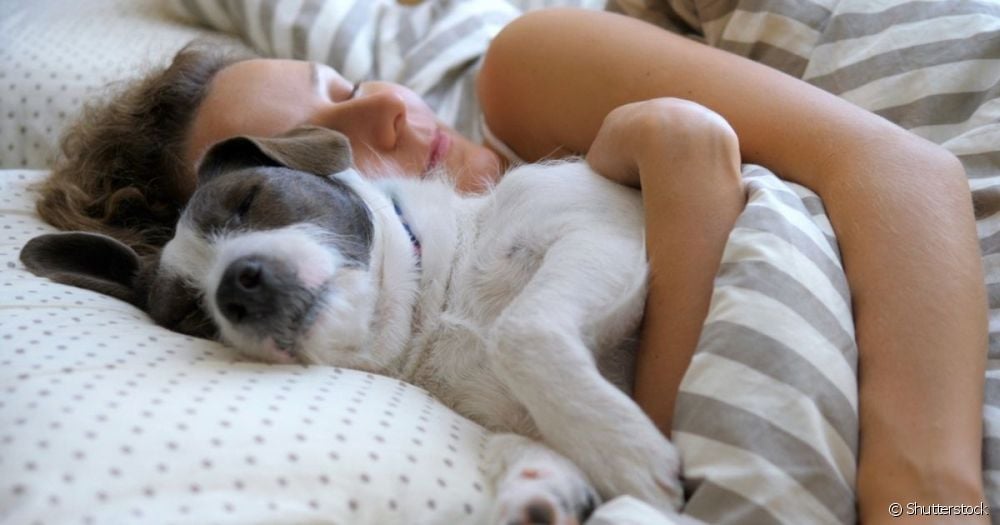 Können Hunde bei ihren Besitzern schlafen? Worauf muss ich achten?