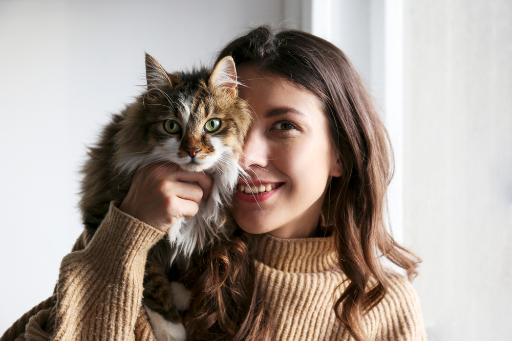  June 4th is "hug your cat day" (but only if your cat lets you). Here's how to celebrate the date!