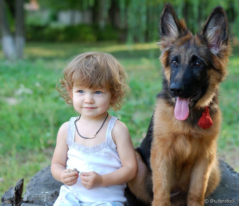  بهترین نژاد سگ برای بچه ها در خانه