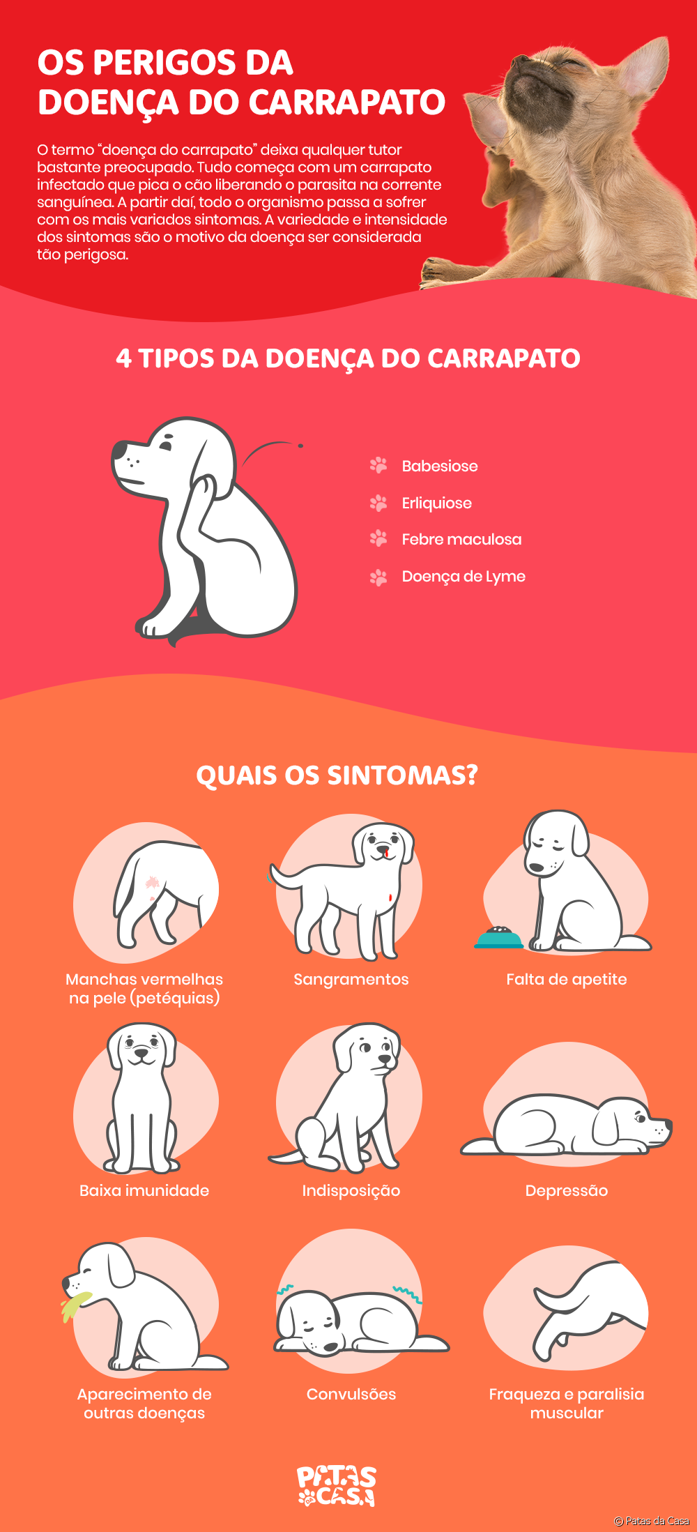  Nexweşiya tikandinê: xetereyên vê nexweşiyê di kûçikan de di infografîk de bibînin
